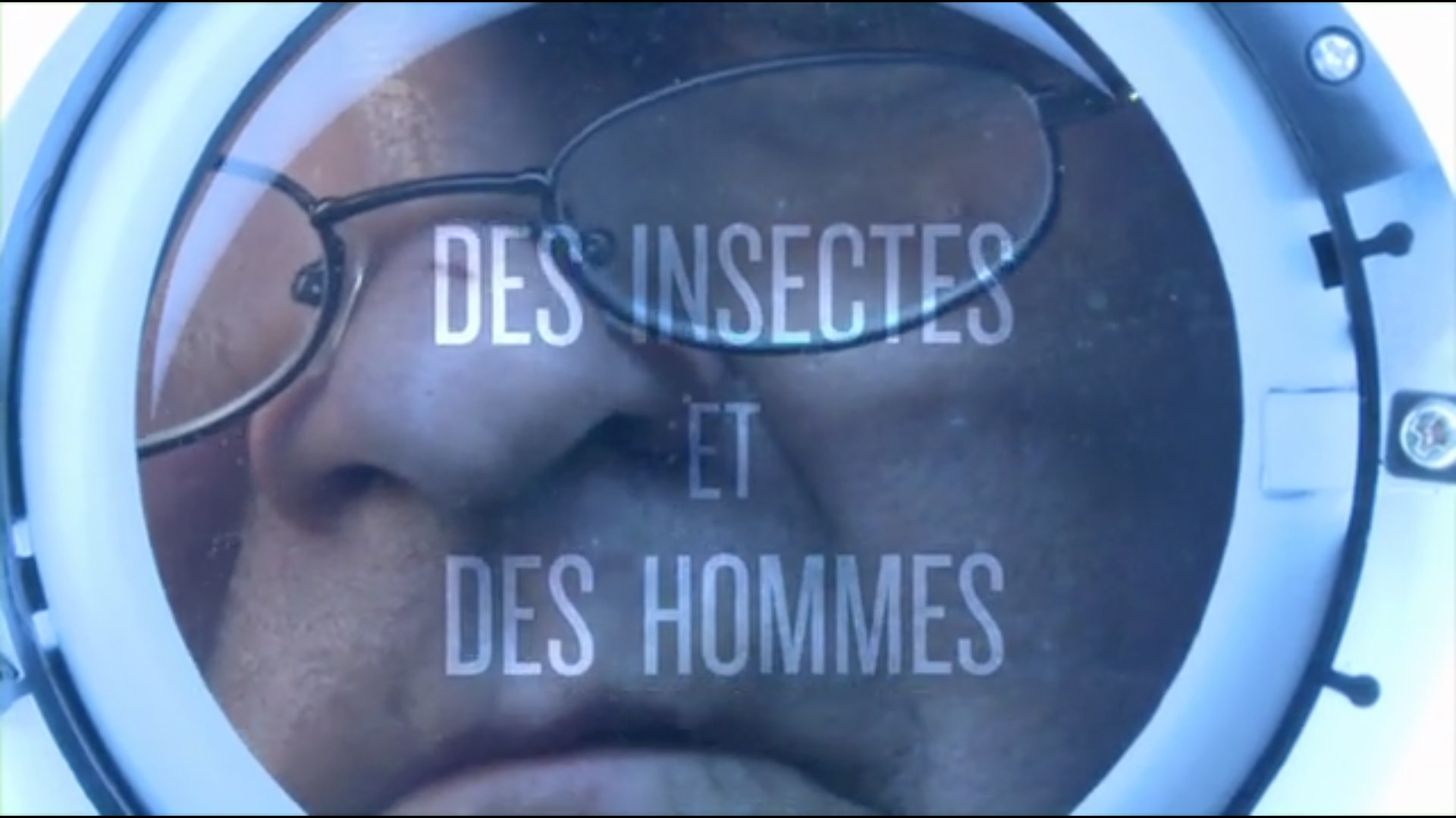 Des insectes et des hommes